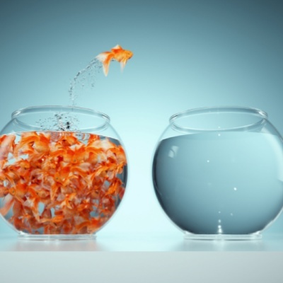 Leading Change: How to Handle Three Reactions