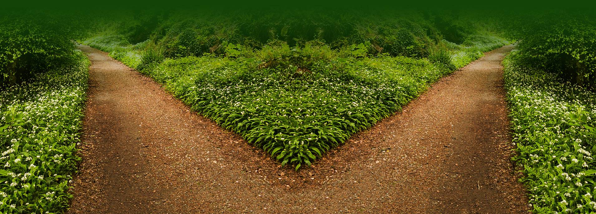 Technology career switch to vendor