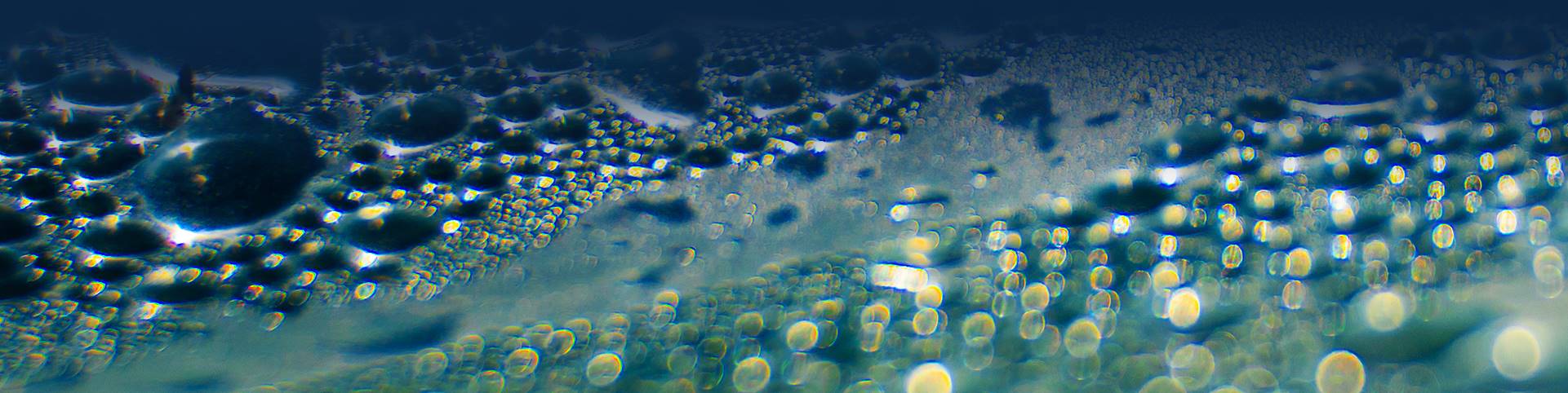 Digital transformation